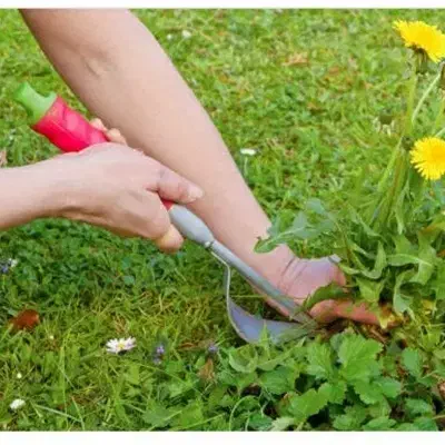 خوش وعلف های هرز رو میبرم بصورت رایگان|خدمات باغبانی و درختکاری|نرماشیر, |دیوار