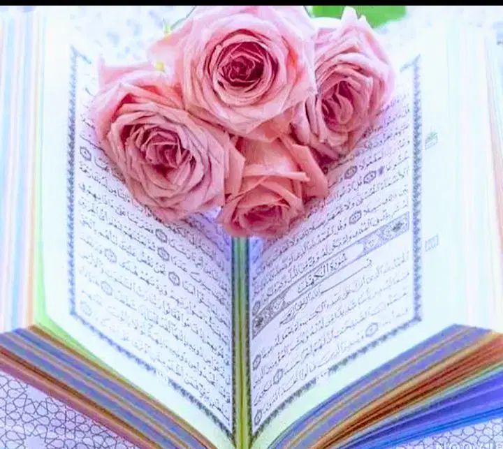 سرکتاب|کتاب و مجله مذهبی|شیراز, وزیرآباد|دیوار