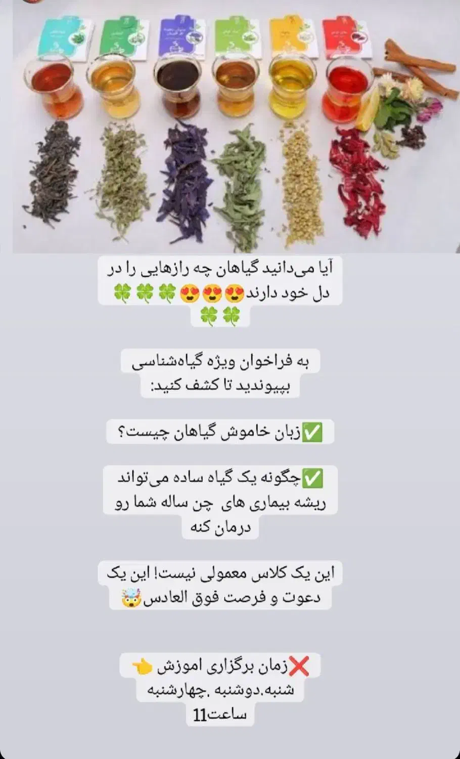 همایش مجازی رایگان گیاه شناسی برای بانوان|گردهمایی و همایش|مشهد, عامل|دیوار