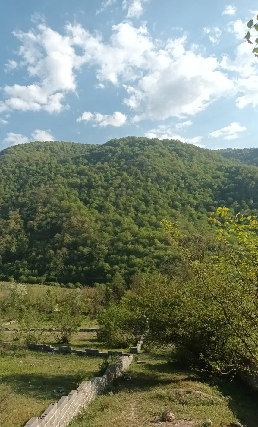 ۸۰۰ مترمربع زمین چالسیو لزیر رویان|فروش زمین و ملک کلنگی|رویان, |دیوار