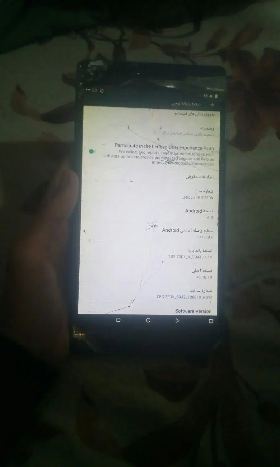 تبلت|تبلت|نیشابور, گنبد سبز|دیوار