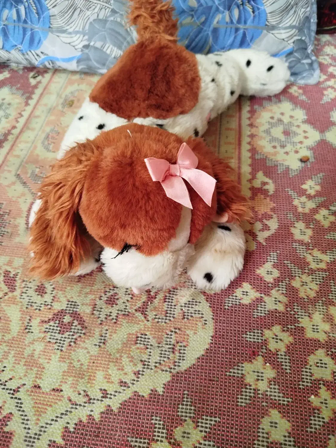 خرس های خارجی|اسباب‌‌بازی|اهواز, کمپلو شمالی|دیوار