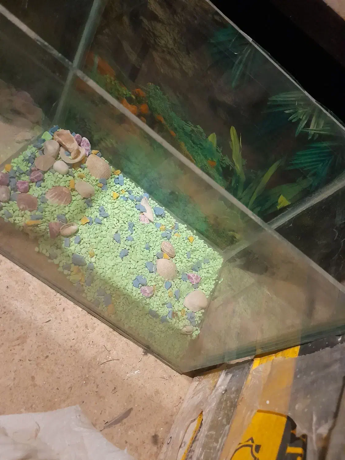 اکواریم معاوضه|لوازم جانبی حیوانات|دهگلان, |دیوار