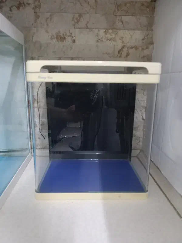 اکواریوم|ماهی|مشهد, نیروی هوایی|دیوار