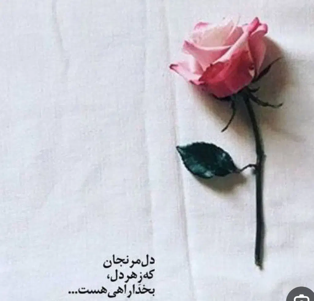 راهنمایی|فعالیت داوطلبانه|شیراز, شهرک مهدی‌آباد|دیوار