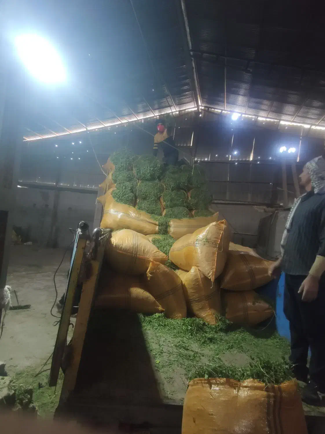 یونجه خشک|لوازم جانبی حیوانات|اهواز, سلیم آباد(سه راه خرمشهر)|دیوار