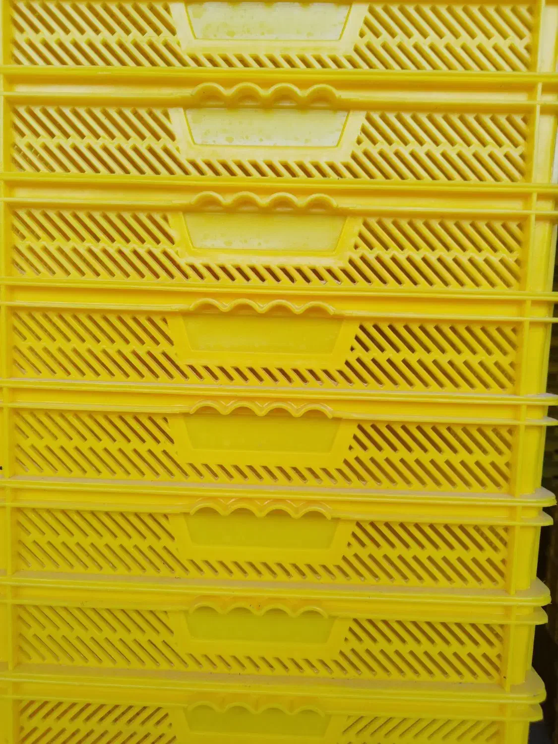 سبد ذغال ، سبد ماکارونی ، سبد دستگاه میوه خشک|عمدهفروشی|پاکدشت, پاکدشت (مامازند)|دیوار