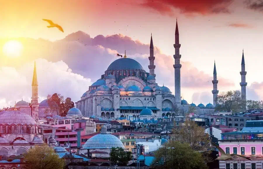 تور اقتصادی استانبول|تور و چارتر|تهران, پاسداران|دیوار