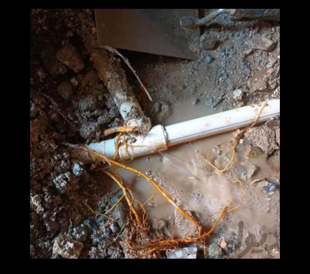 نشتیابی رفع نم رطوبت نشت یابی|خدمات پیشه و مهارت|اهواز, گلستان|دیوار