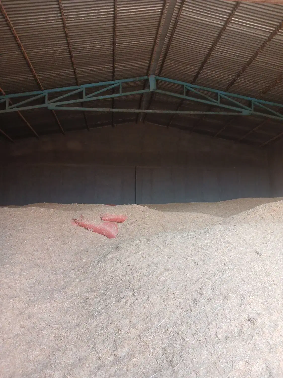 ۳۰۰ خروار کاه به فروش میرسد|عمده‌فروشی|آشتیان, |دیوار