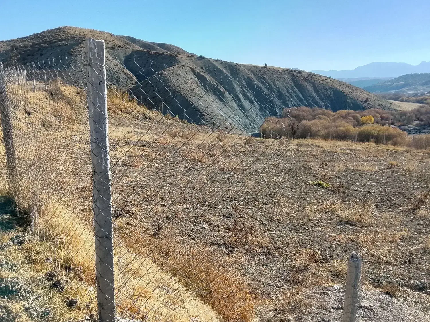 فروش زمین|فروش دفتر صنعتی، کشاورزی، تجاری|الشتر, |دیوار