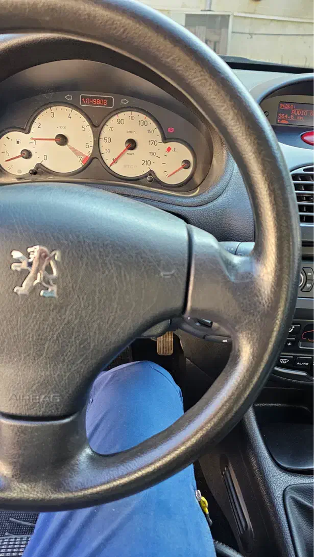 ۲۰۶ تیپ 5|خودرو سواری و وانت|رشت, کاکتوس|دیوار