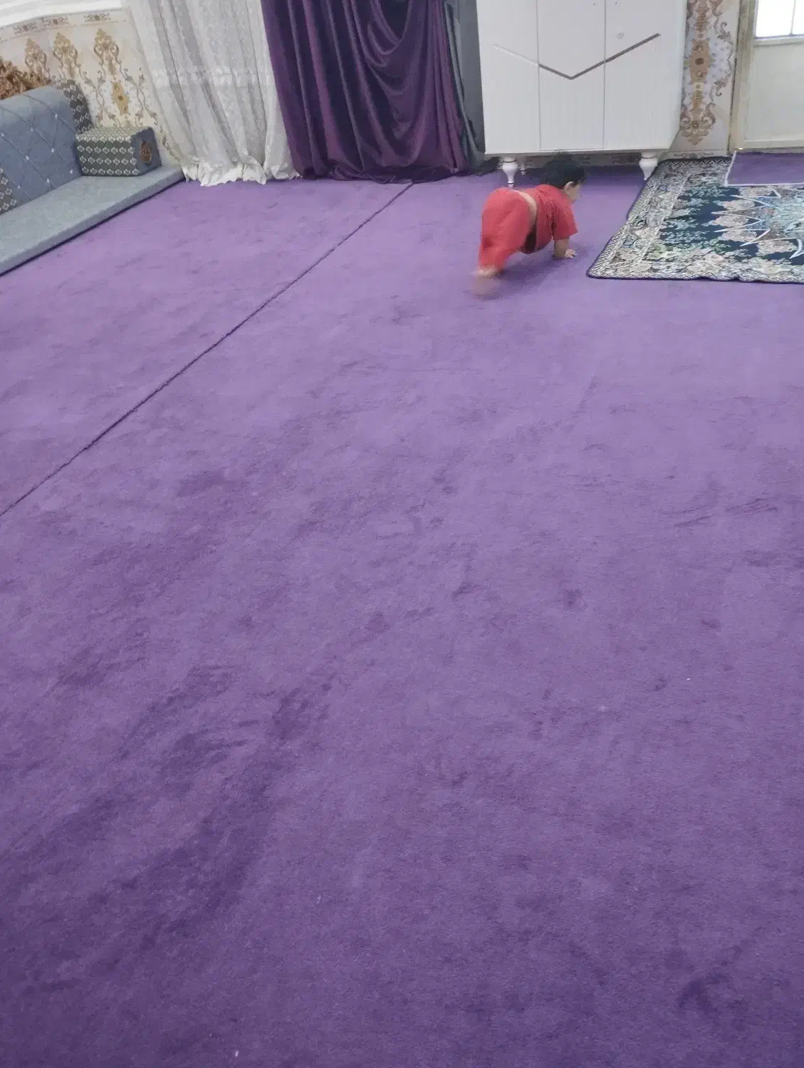 موکت به رنگ بنفش ۳۰ متر مربع دو‌تیکه|موکت|کارون, |دیوار