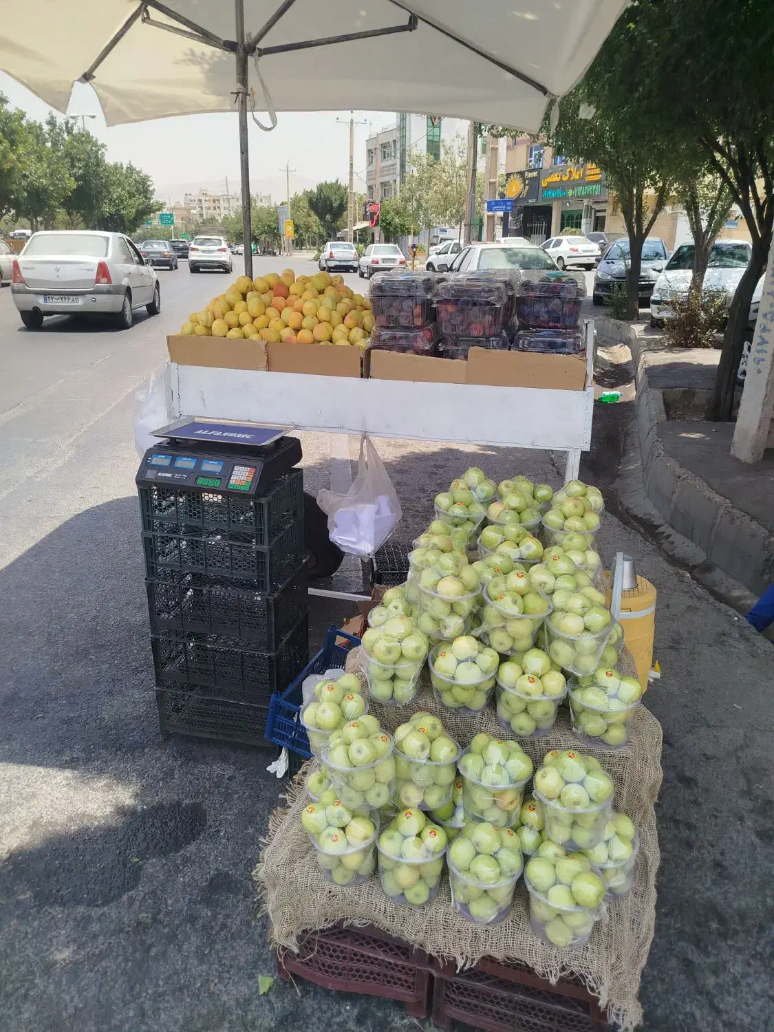 سازه میوه فروشی|فروشگاه و مغازه|شیراز, شهرک سعدی|دیوار