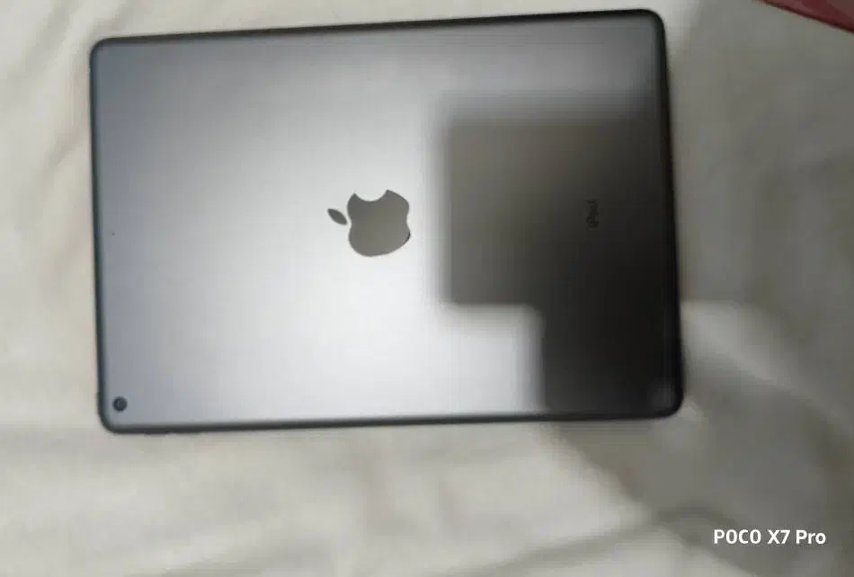 ipad 9th wifi|تبلت|بوشهر, |دیوار