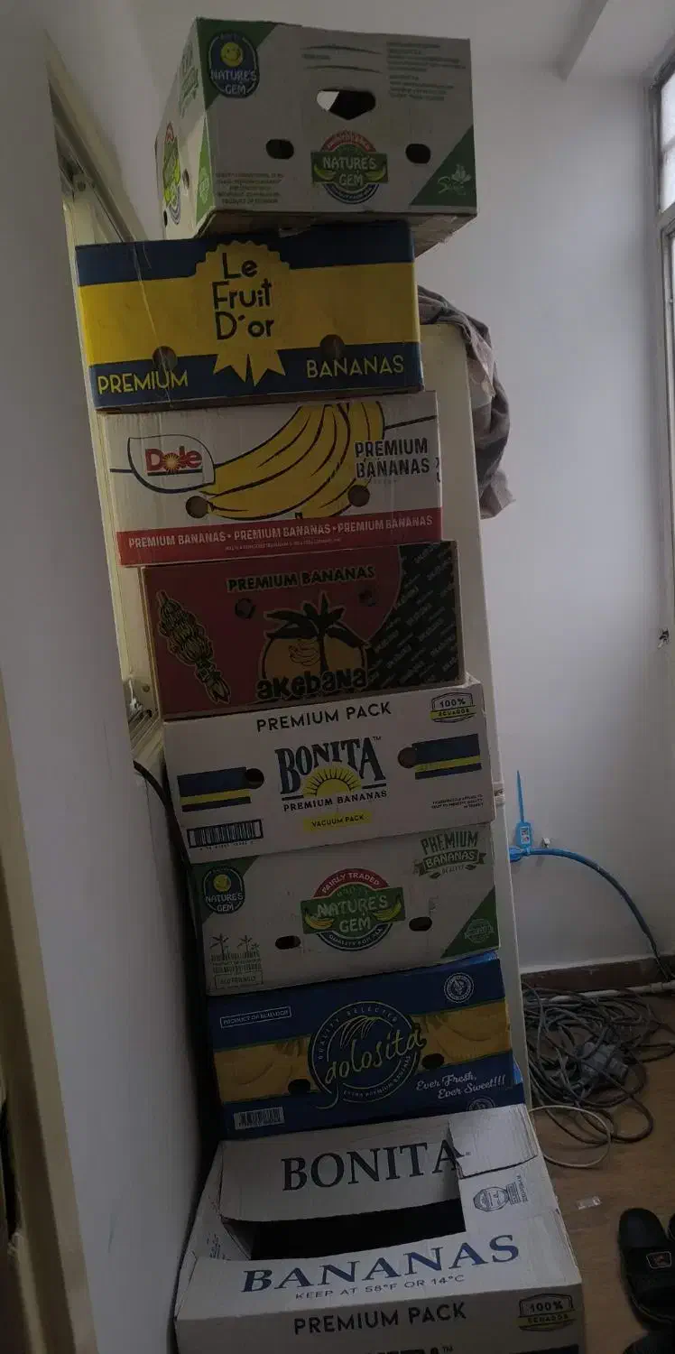 جعبه موز|حراج|رشت, پیرکلاچای|دیوار