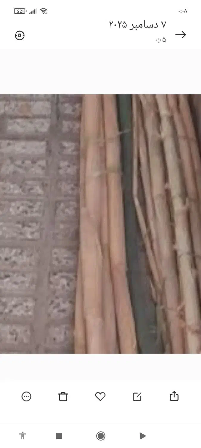 نی خام ۲۰شاخه|سازهای بادی|اصفهان, بیدآباد|دیوار