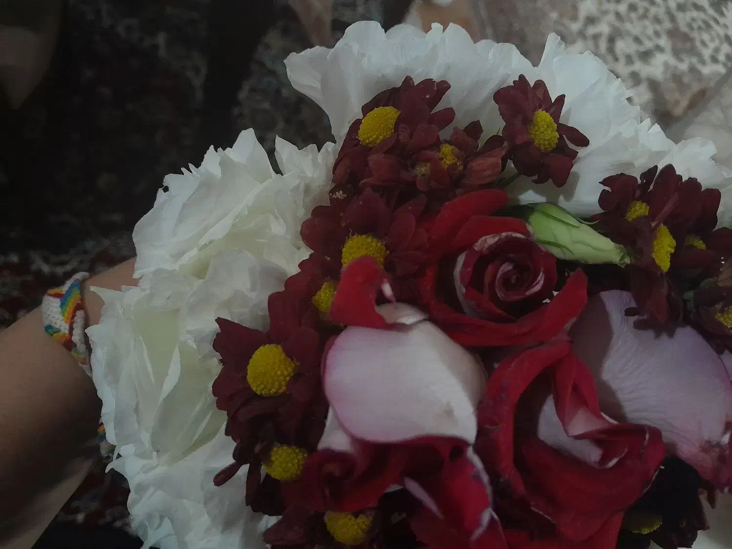 هدیه|اسباببازی|مشهد, حجت|دیوار