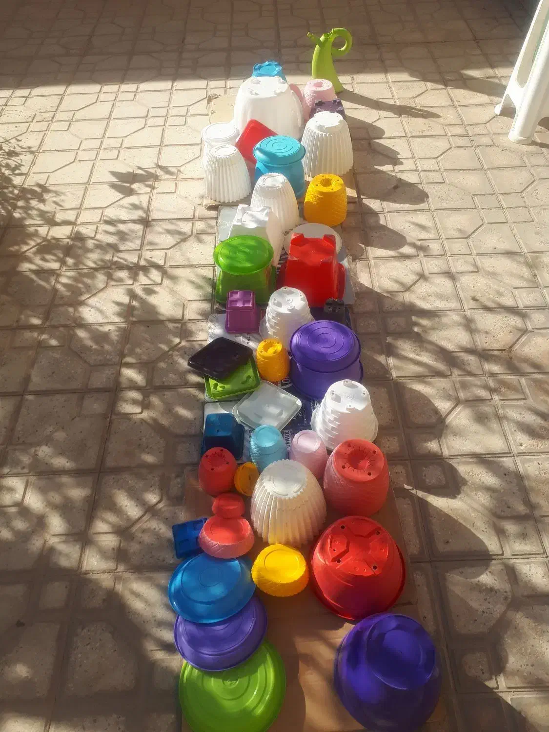 گلدان پلاستیکی وسفالی|گل و گیاه طبیعی|شاهین‌شهر, فردوسی|دیوار