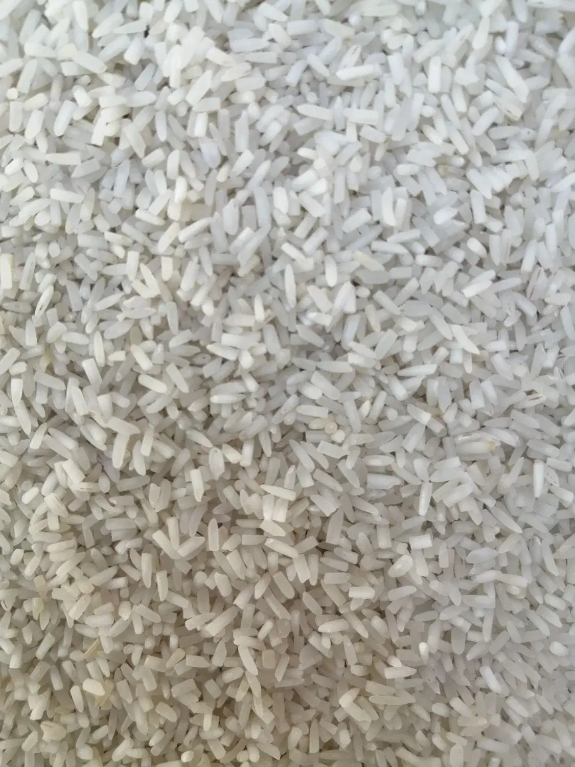 برنج سرلاشه ایرانی بشرط پخت|خوردنی و آشامیدنی|سبزوار, کهنه آب|دیوار