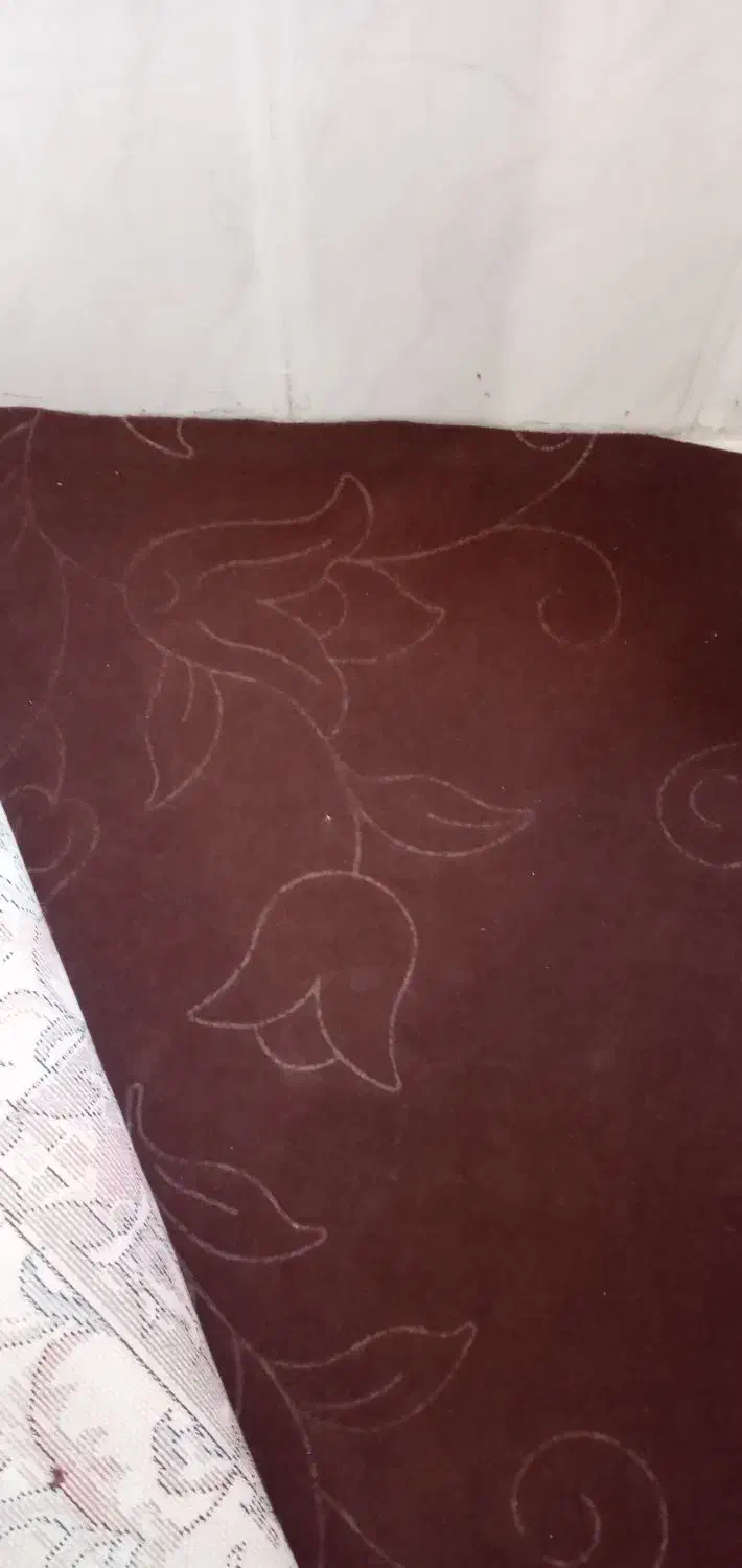 موکت درحدنو|موکت|چناران, |دیوار