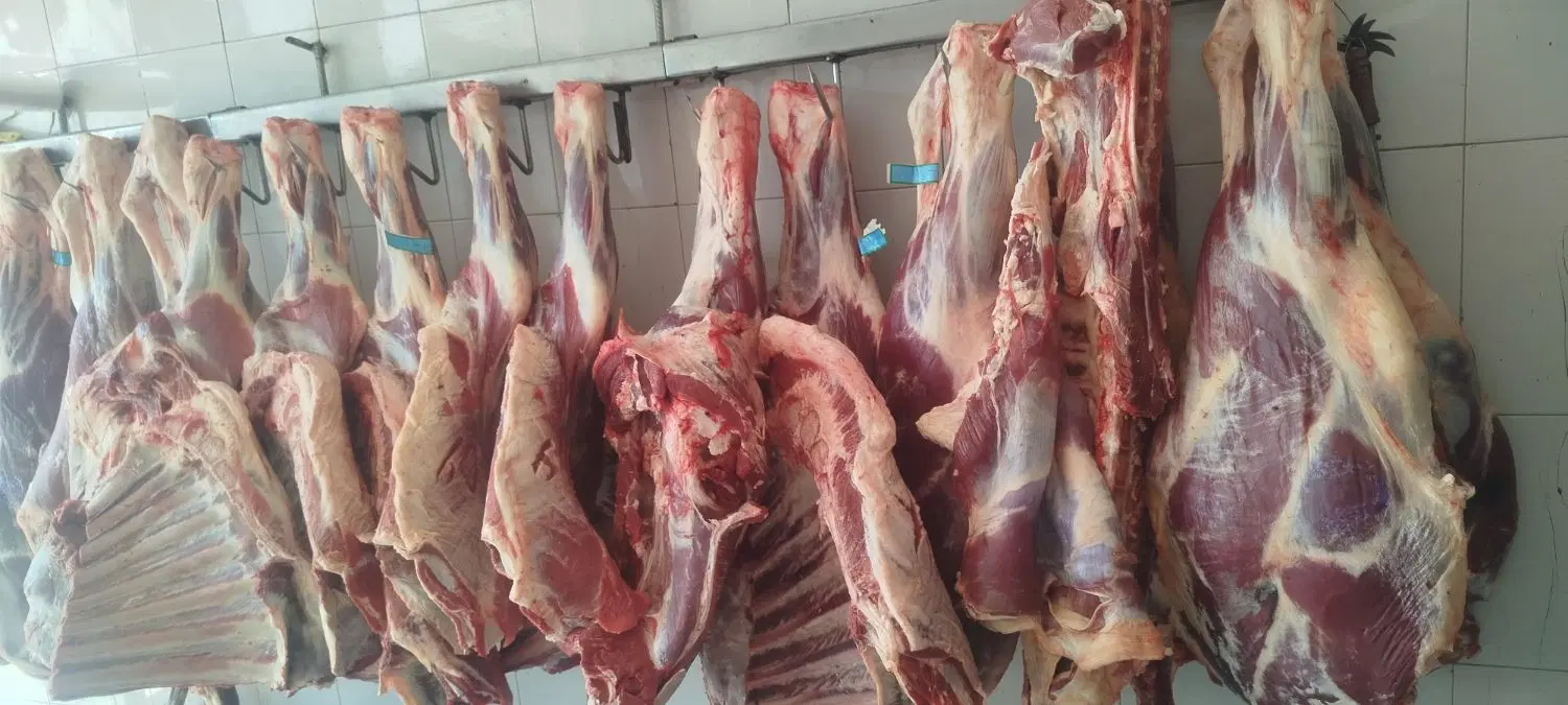 گوشت|خوردنی و آشامیدنی|نیشابور, رحمت آباد|دیوار
