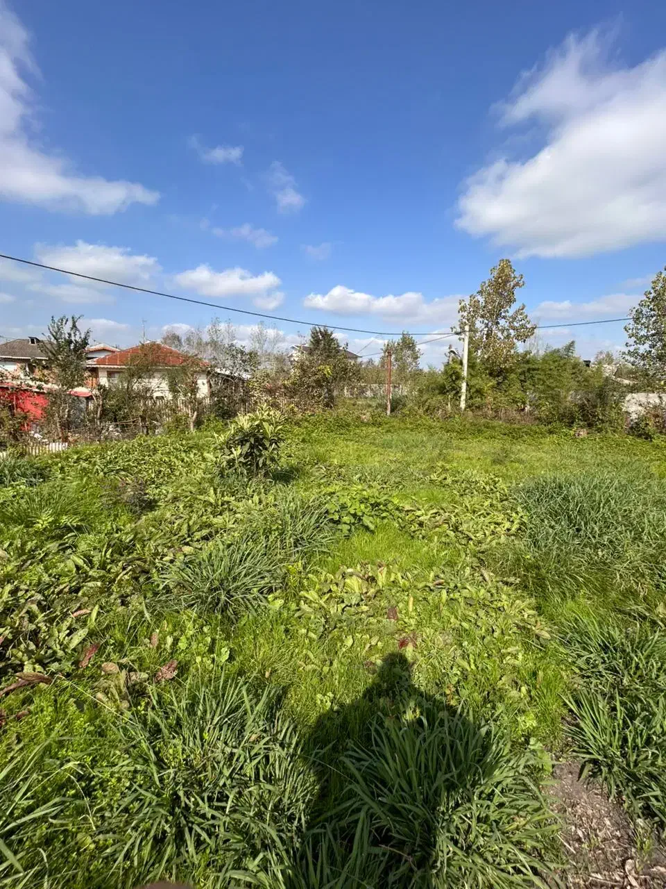 2عدد زمین مسکونی|فروش زمین و ملک کلنگی|رشت, منظریه|دیوار