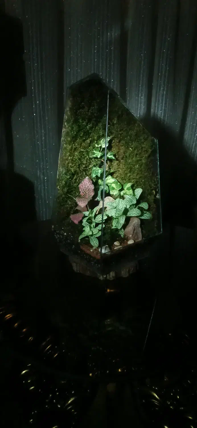 تراریومهای خاص|صنایع دستی و سایر لوازم تزئینی|مشهد, امیریه|دیوار