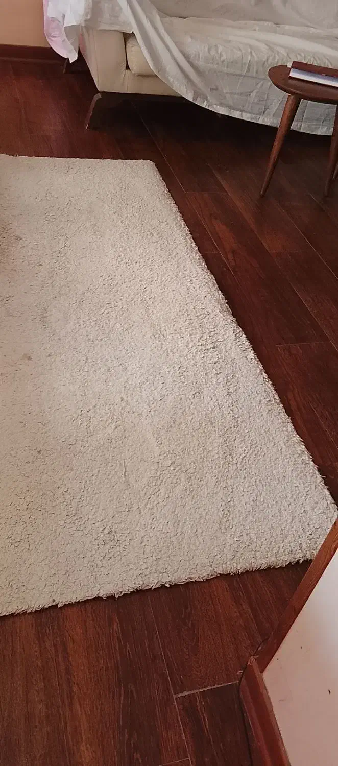 موکت|موکت|اصفهان, جلفا|دیوار