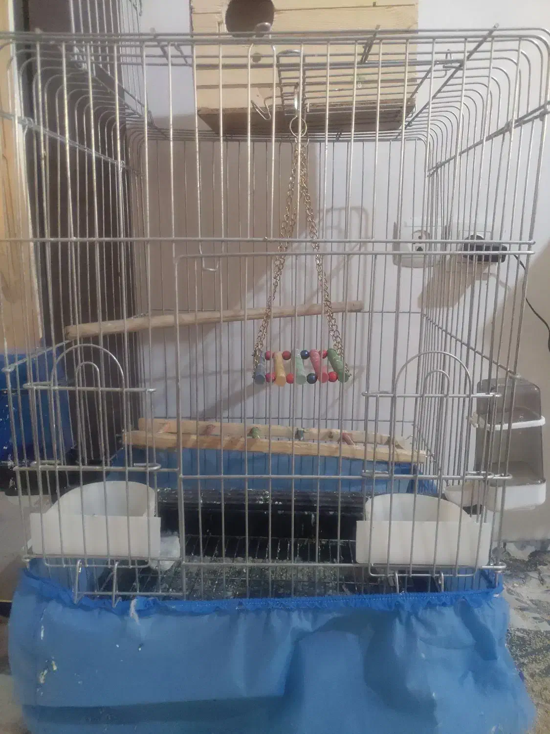 دوتا عروس هلندی ۶ عدد مرغ عشق و یه دونه مرغ مینا|پرنده|تهران, شهرک ابوذر|دیوار