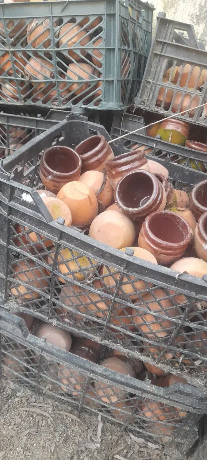 گلدونی کوچیک مخصوص کاکتوس|گل و گیاه طبیعی|احمدسرگوراب, |دیوار