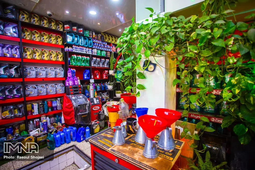 مشارکت در کار تعویض روغنی|مشارکت در ساخت املاک|دوگنبدان, |دیوار