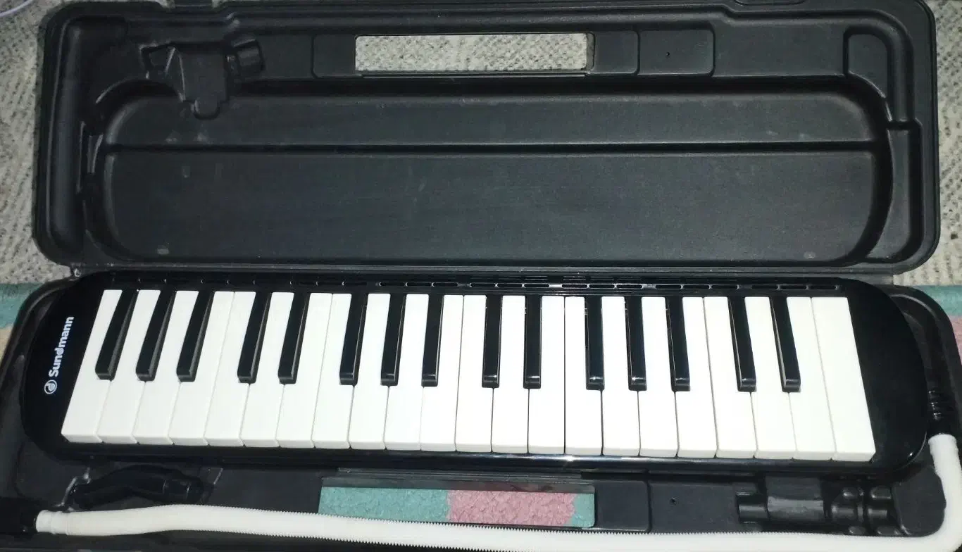 ملودیکا ۳۷کلید ساندمن|سازهای بادی|دزفول, |دیوار