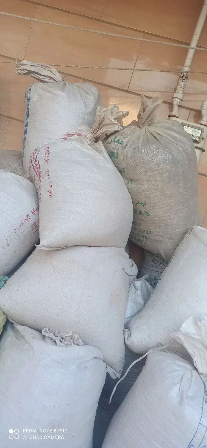 ک و د مرغ|گل و گیاه طبیعی|برازجان, |دیوار