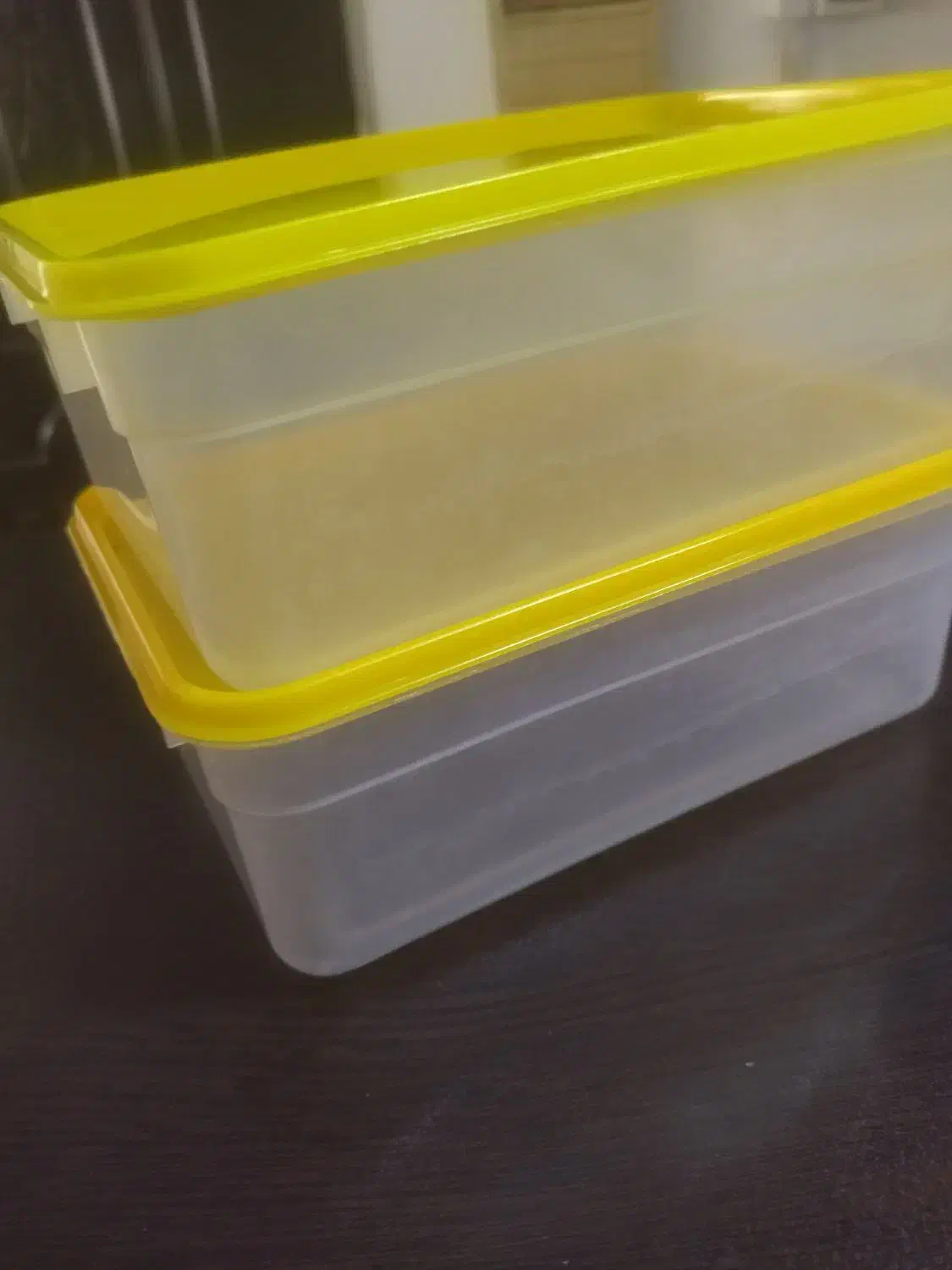 تعدادی ظرف|ظروف نگهدارنده، پلاستیکی، یک‌بارمصرف|قم, باغ کرباسی|دیوار