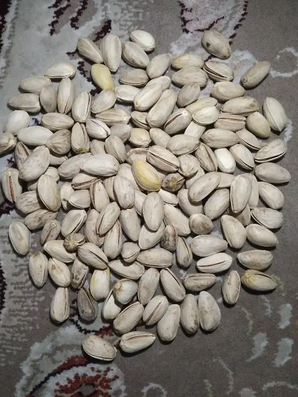 پسته اکبری دهن باز کیلیویی ۸۷۰|خوردنی و آشامیدنی|جوادآباد, |دیوار