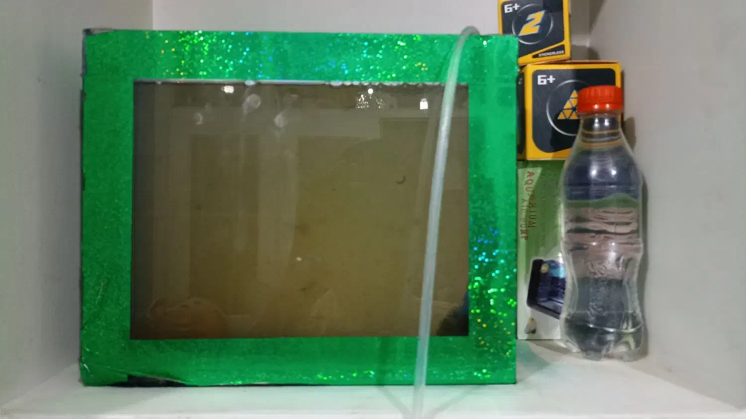 ماهیه گوپی|ماهی|زاهدان, |دیوار