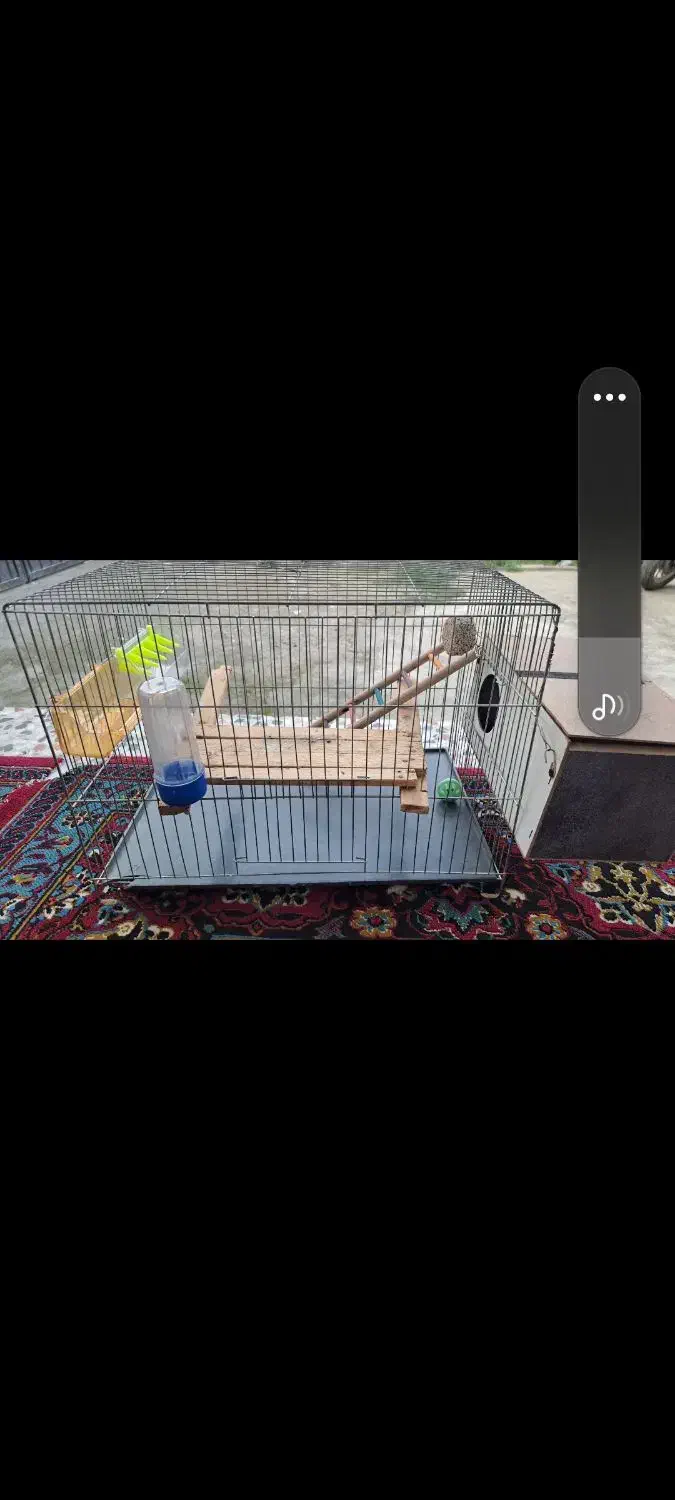 قفس پرنده|لوازم جانبی حیوانات|جویبار, |دیوار