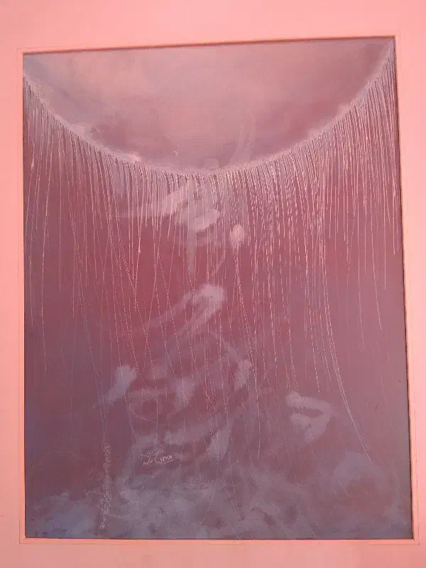 تابلو نقاشی علیرضا کریمپور|تابلو، نقاشی، عکس|شیراز, محمدیه|دیوار