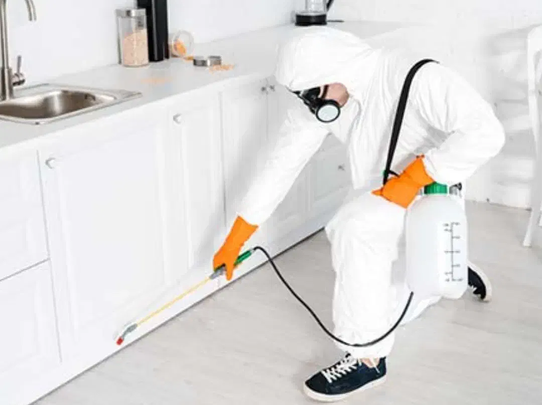 سمپاشی منزل‌ تخصصی.ادارات|خدمات نظافت|خورموج, |دیوار