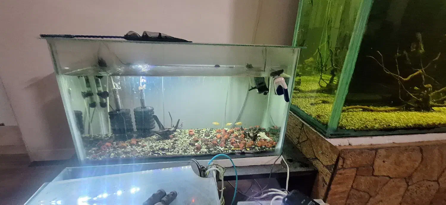 سه عدد اکواریوم|ماهی|اصفهان, کوی سپاهان|دیوار
