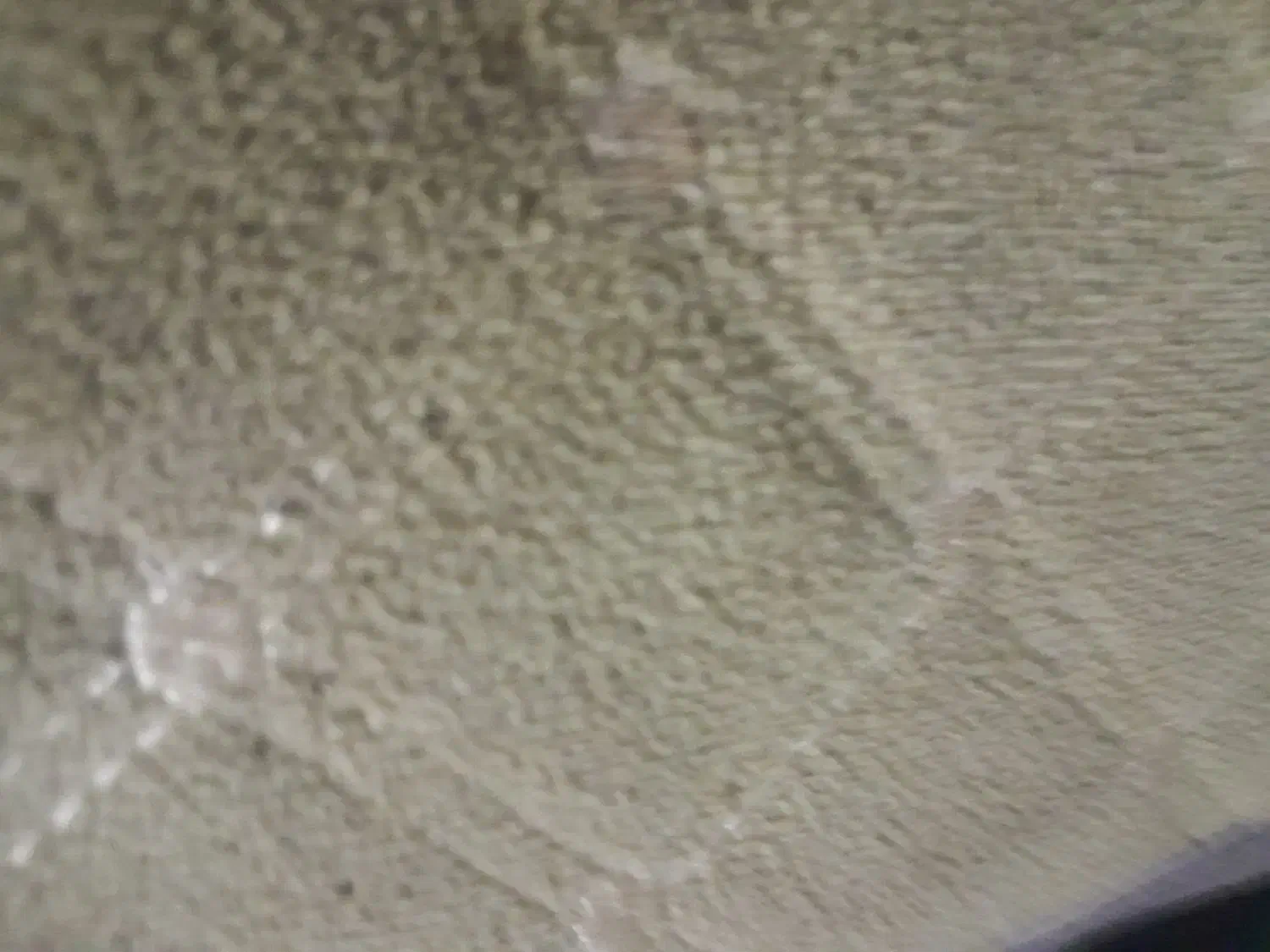 فروش امتیاز قالیشویی با کلیه امکانات|فروش دفتر کار، اتاق اداری، مطب|دوگنبدان, |دیوار