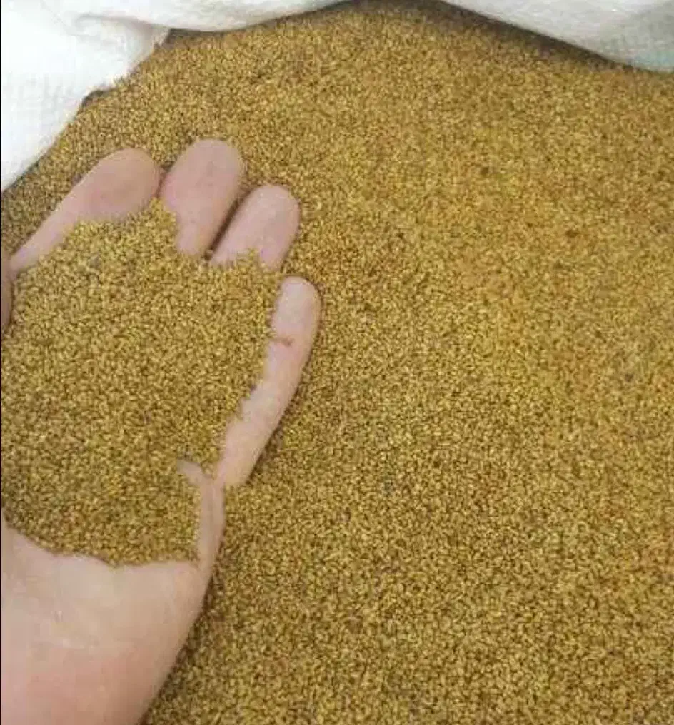 شبدربرسیم ضمانتی...یونجه کریس asl|عمدهفروشی|رشت, پارک شهر|دیوار