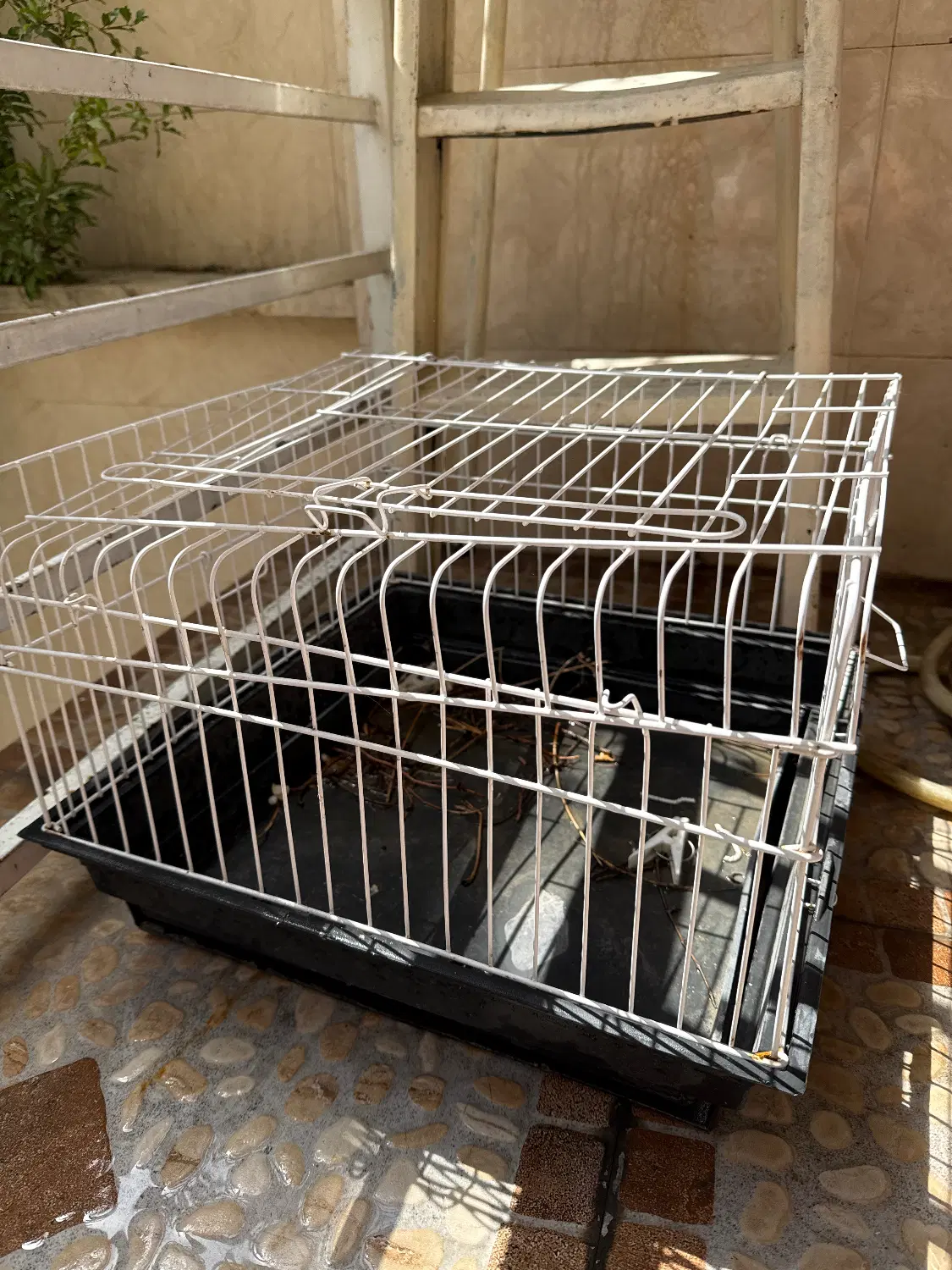 قفس حیوانات خانگی|لوازم جانبی حیوانات|تهران, ستارخان|دیوار