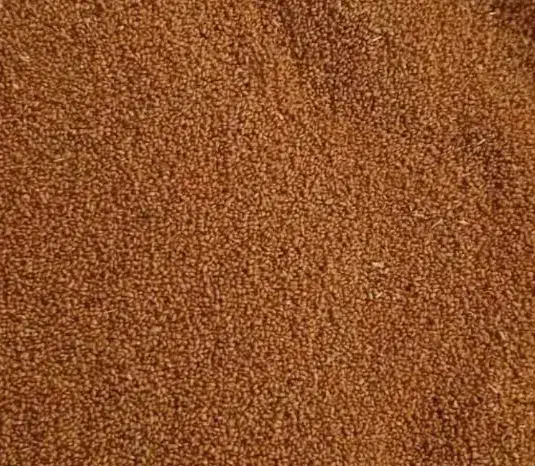 خاک شیر درجه یک|خوردنی و آشامیدنی|مرودشت, ژیان|دیوار