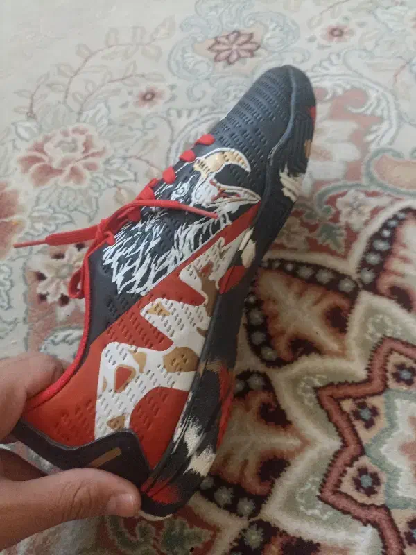 کفش سالن|کیف، کفش، کمربند|خرمآباد, |دیوار