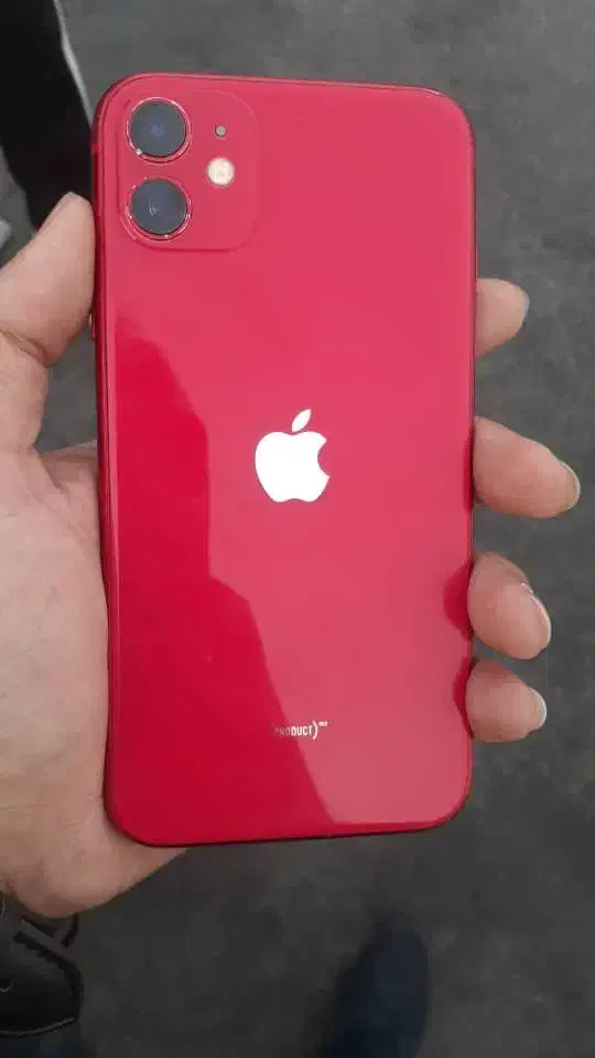 iPhone 11 آیفون ۱۱|موبایل|اصفهان, باغ گلها|دیوار
