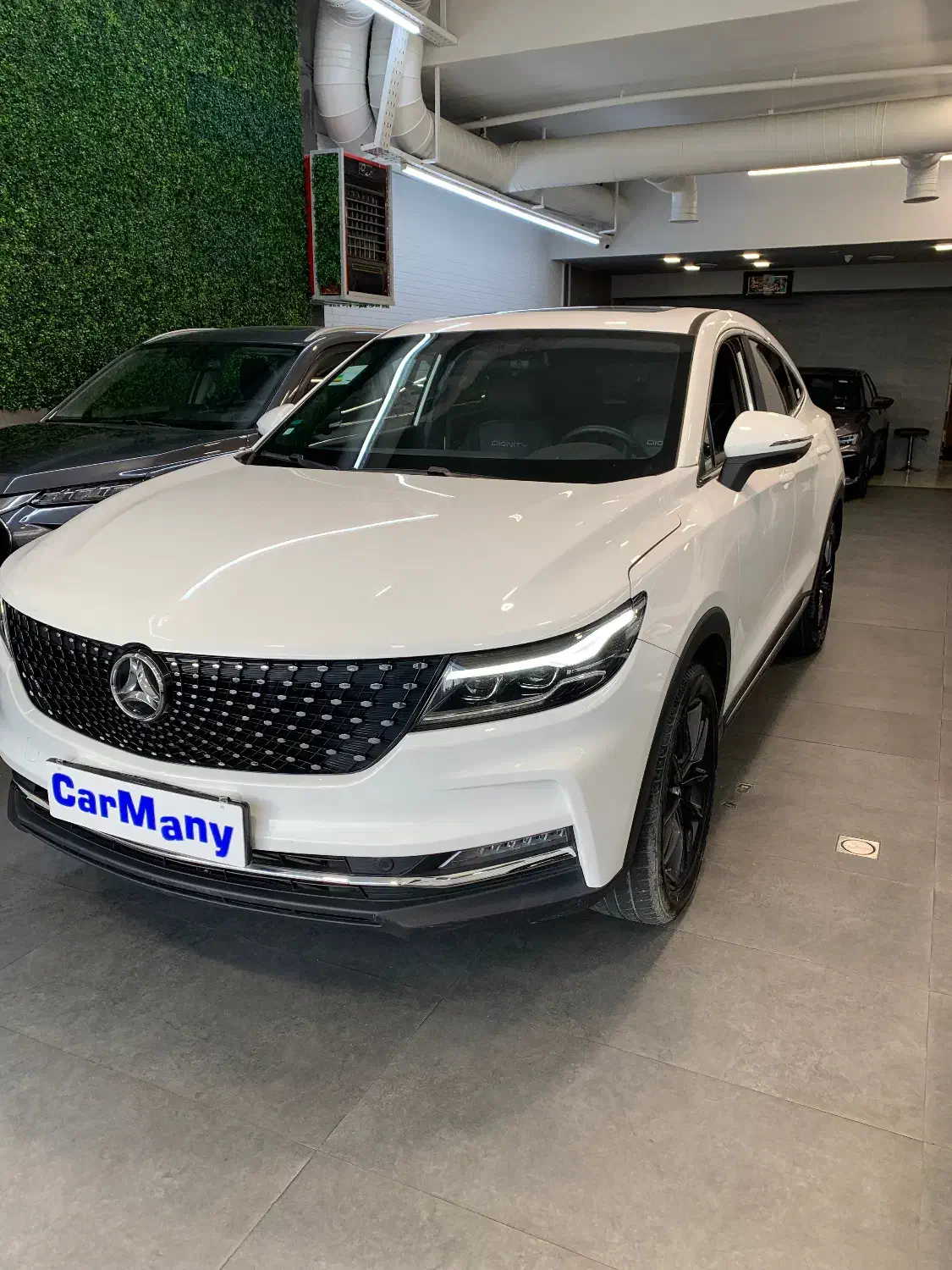 دیگنیتی پرایم|خودرو سواری و وانت|تهران, اباذر|دیوار