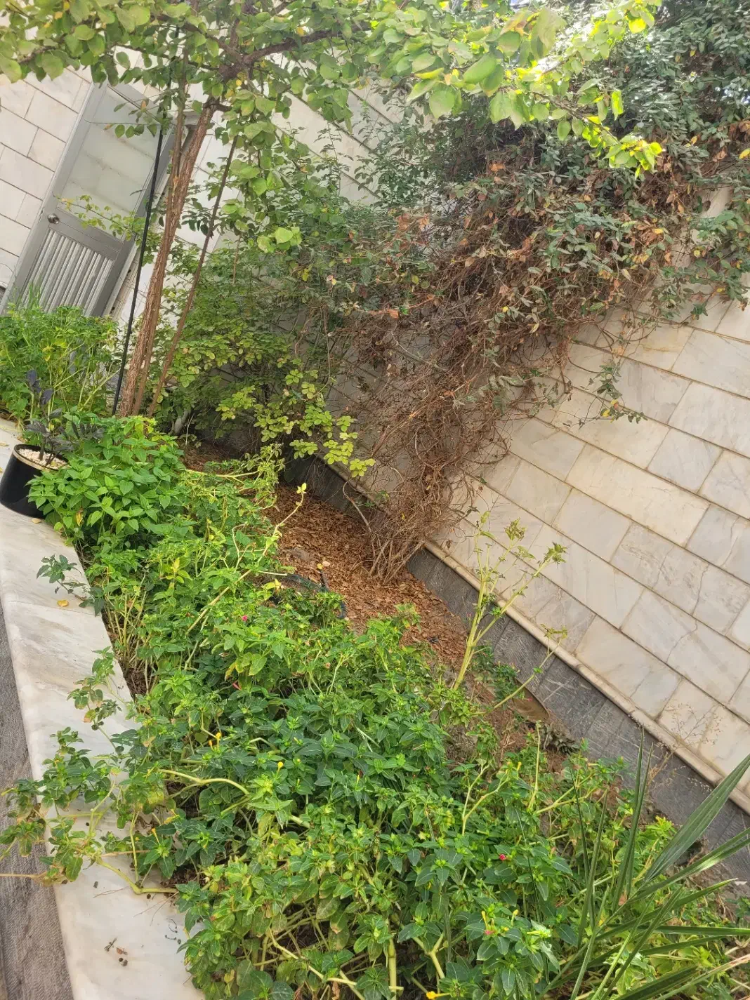 خوابگاه دخترانه|اجارهٔ آپارتمان|مشهد, بهشت|دیوار