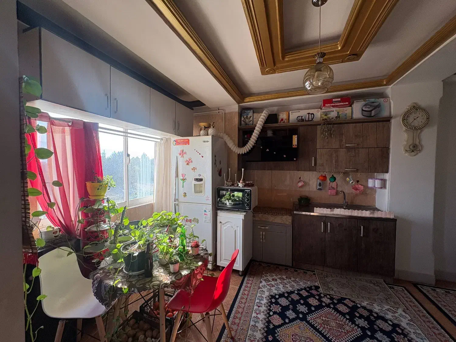 فروش اپارتمان 55 متری تک خواب فول|فروش آپارتمان|بندر گز, |دیوار